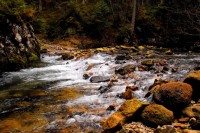 /album/fotogaleria/a957a6968d0b36ed1bb17eb3039ccdb8a-1-jpg/